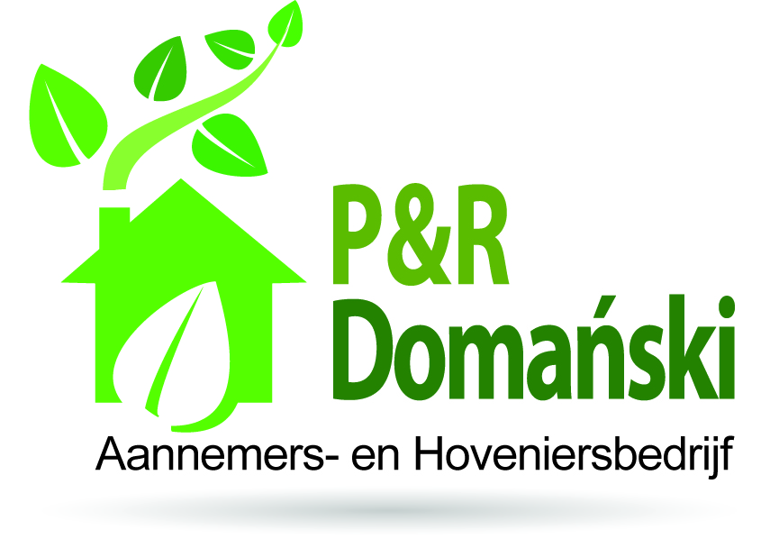 Logo domanski.nl
